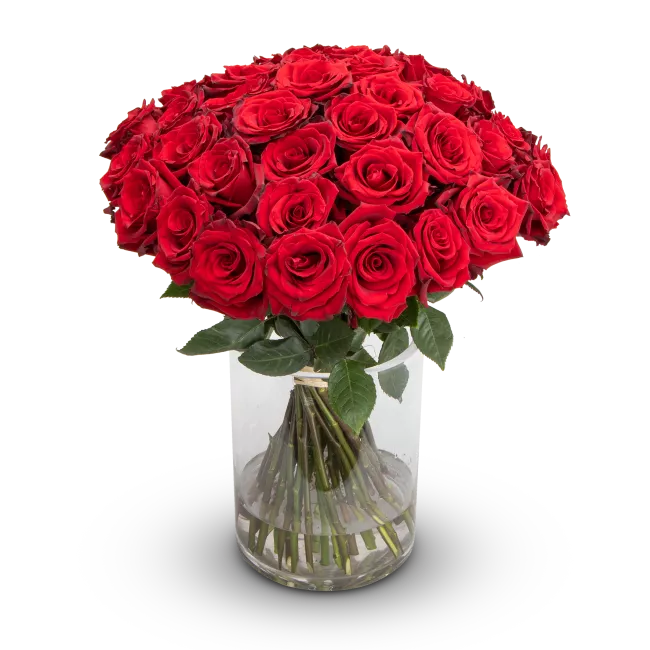 Kytice rudých růží